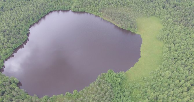 Viešvilės rezervato direkcijos nuotr./Viešvilės valstybinis gamtinis rezervatas