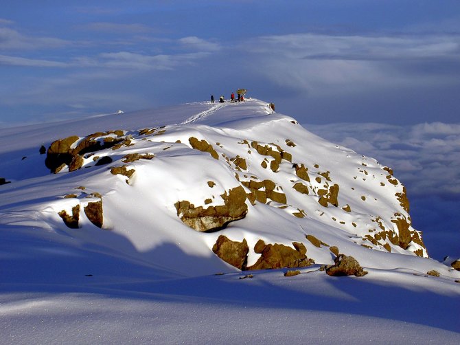 M.Puidoko nuotr./Kopimas į Kilimandžarą