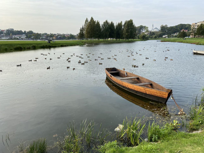 V.Kesminės nuotr./Telšiai