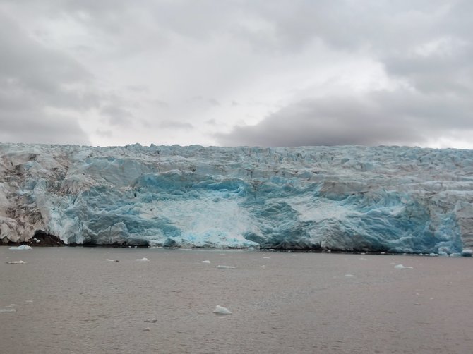 Asm.archyvo nuotr./Norndenskioldo ledynas