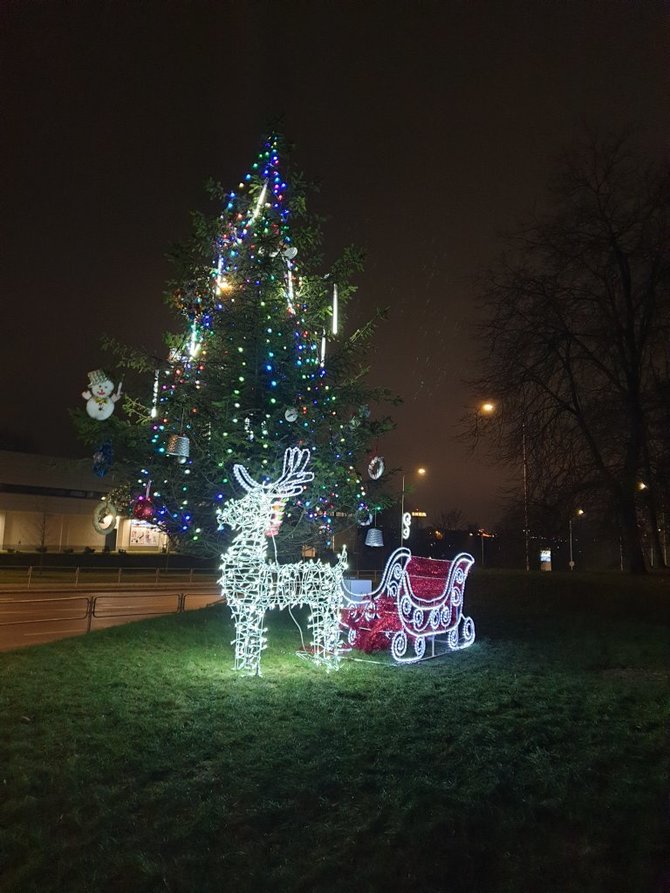 „Neakivaizdinio Vilniaus“ nuotr./Naujininkų eglė