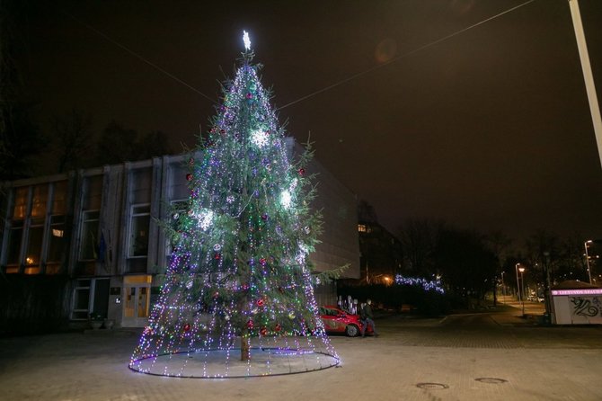 „Neakivaizdinio Vilniaus“ nuotr./Lazdynų eglė Erfurto g.. S. Žiūros nuotr.