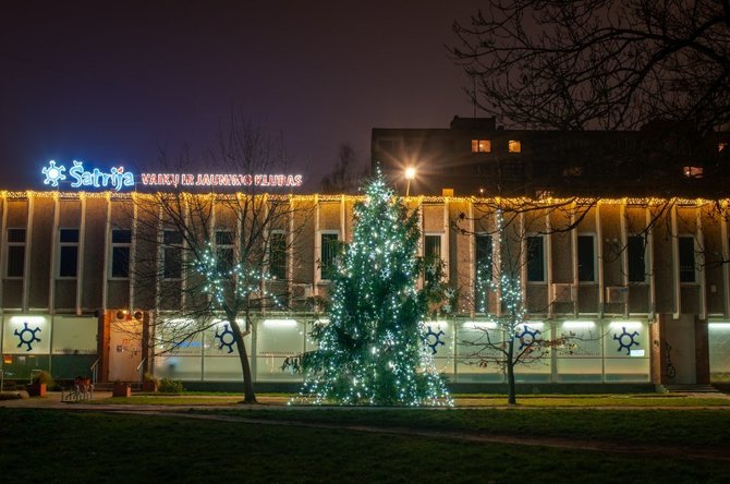 „Neakivaizdinio Vilniaus“ nuotr./Šnipiškių eglė. A. Pavelko nuotr.