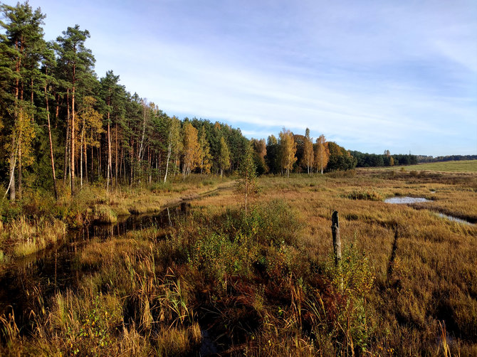 Skuodo TIC nuotr./Lenkimų bebrynas