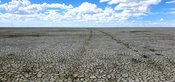 D.Makauskio nuotr./Kelionė Namibijoje