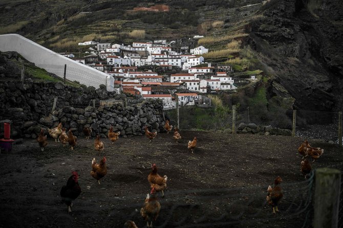 AFP/„Scanpix“ nuotr./Korvo sala, Azorai, Portugalija