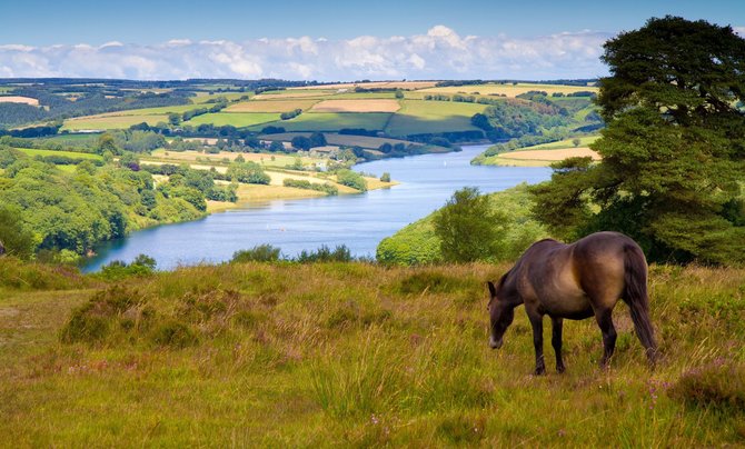 123rf.com nuotr./Exmoor, Pietvakarių Anglija