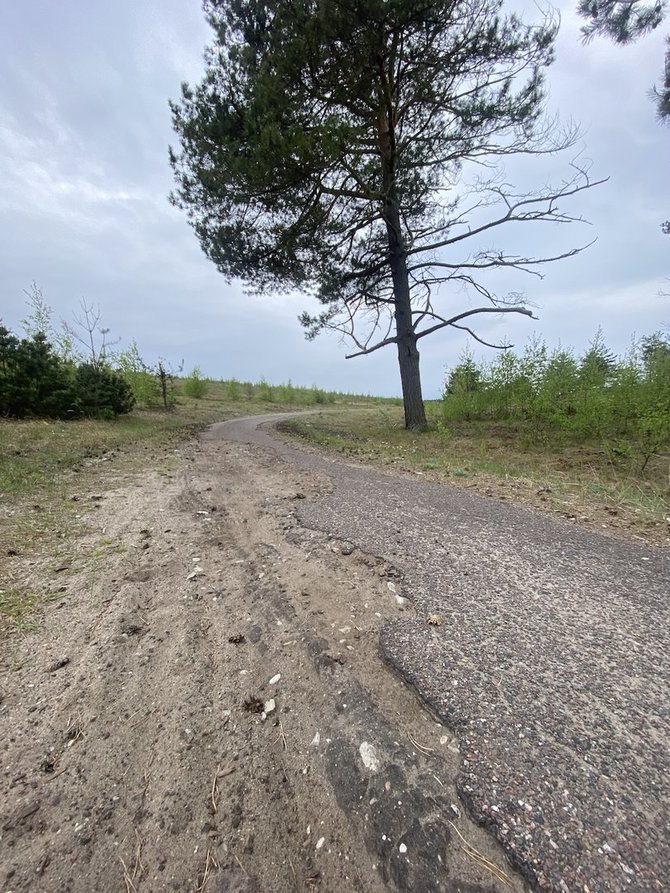 Pauliaus Matulevičiaus nuotr./Dviračių takas „Smiltynė-Juodkrantė-Nida“