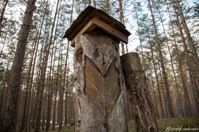 Nesėdėk namuose nuotr./Drevinės bitininkystės pažintinis takas