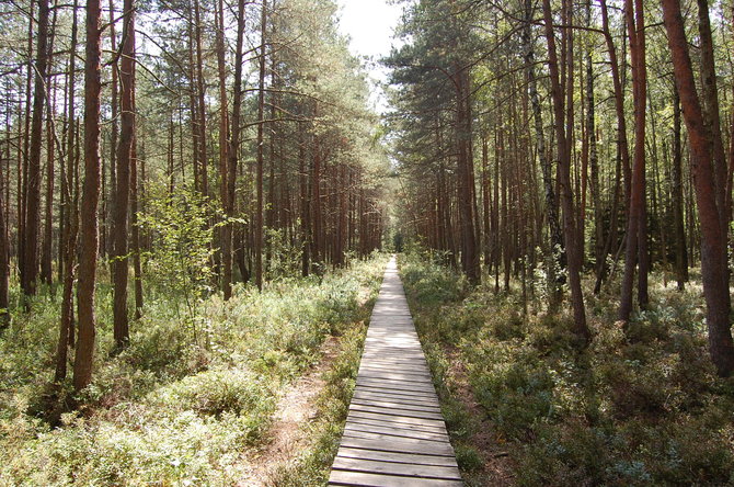 Valstybinių miškų urėdijos nuotr./Varnikų takas