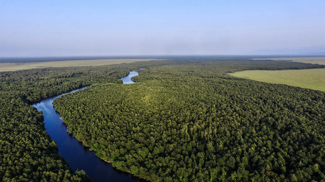 Agency of Protected Areas / UNESCO nuotr./Kolchidės miškai ir šlapynės Sakartvele