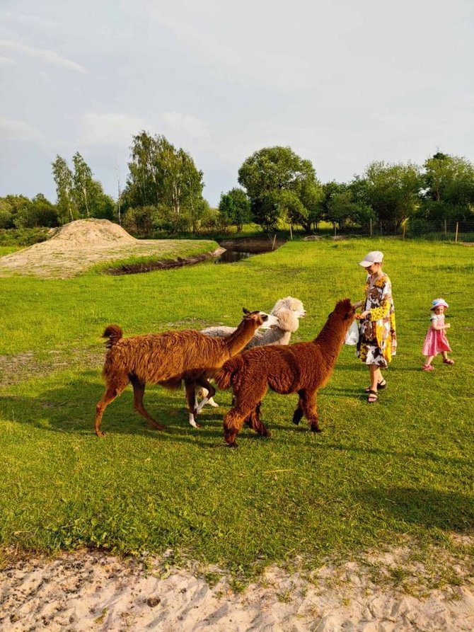 Kelionių reikalų nuotr./Šeimos kelionė į Anykščius