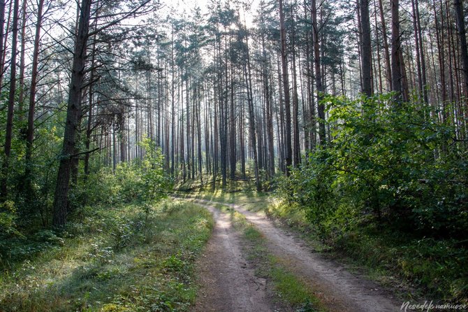 Nesėdėk namuose nuotr./Skroblaus pažintinis takas