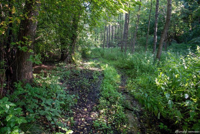 Nesėdėk namuose nuotr./Skroblaus pažintinis takas