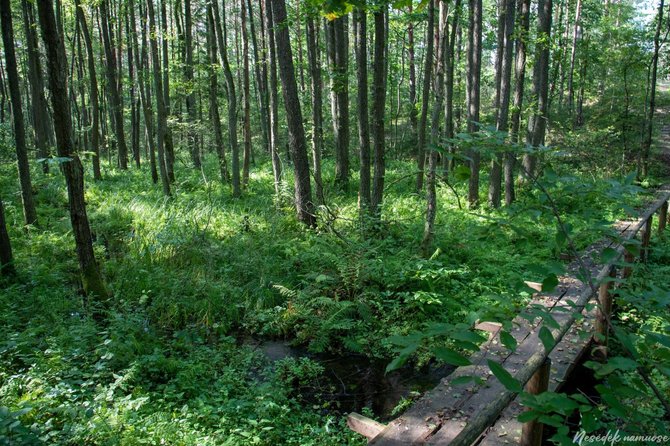 Nesėdėk namuose nuotr./Saulės takas, Druskininkai