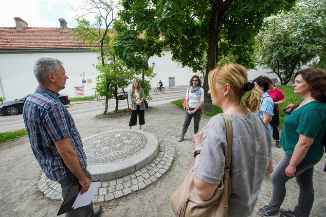 Vytautės Ribokaitės nuotr./Palmira Galkontaitė