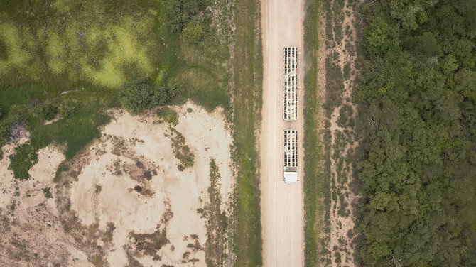 Earthsight nuotr./Galvijus vežantis sunkvežimis Čiako miške