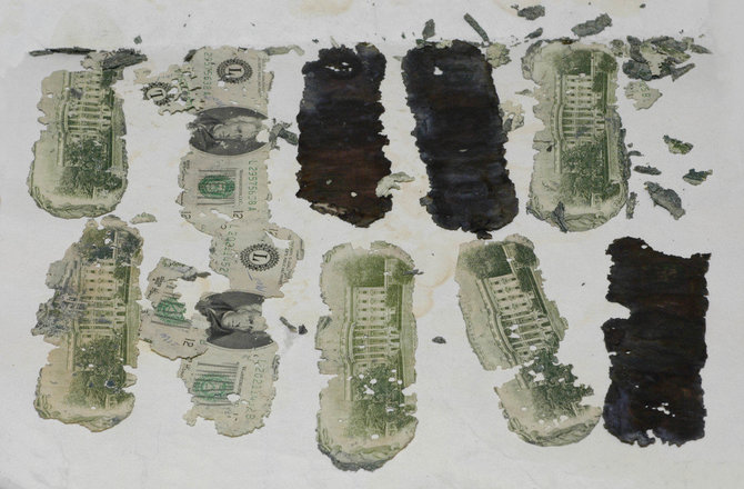 FTB nuotr./Rasti pinigų banknotai