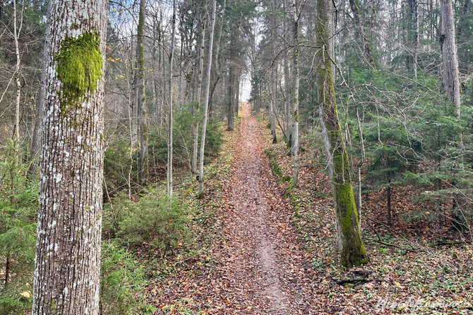 Nesėdėk namuose nuotr./Takas aplink Vilnių