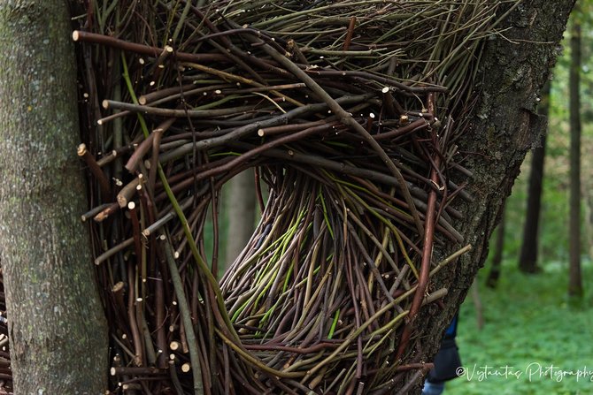 Vytauto Šimkūno nuotr./Projekto „Land art Tytuva'21" akimirkos