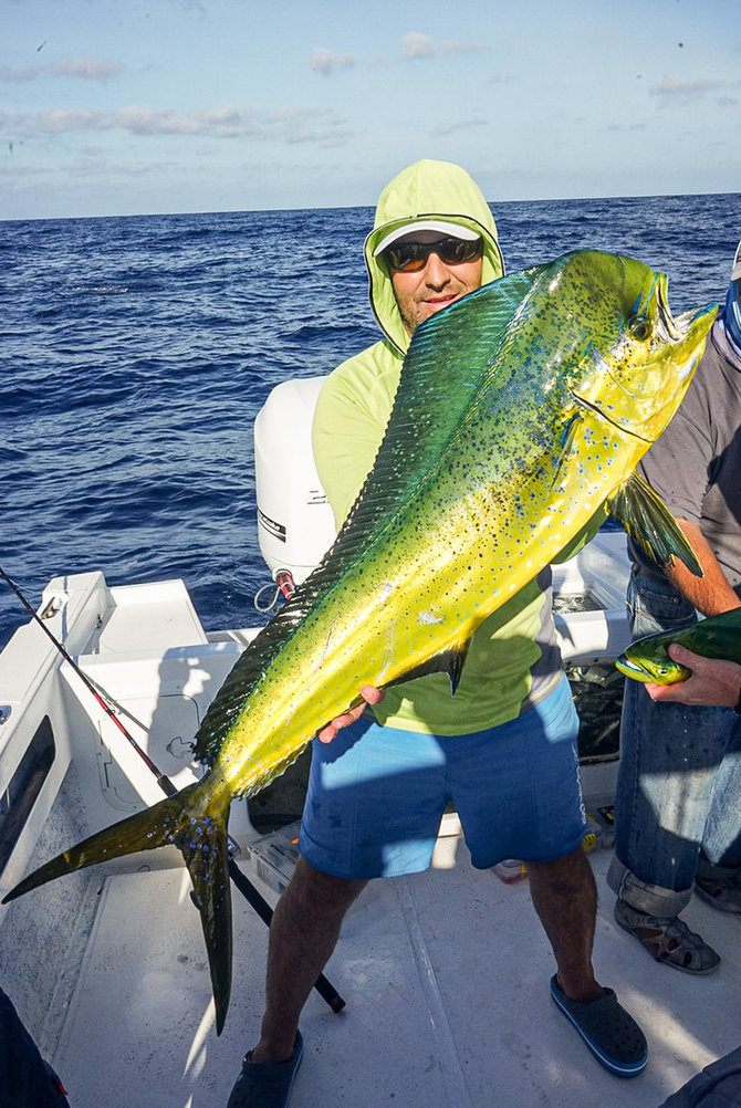 Spoto nuotr./Auksinė žuvelė – Mahi Mahi