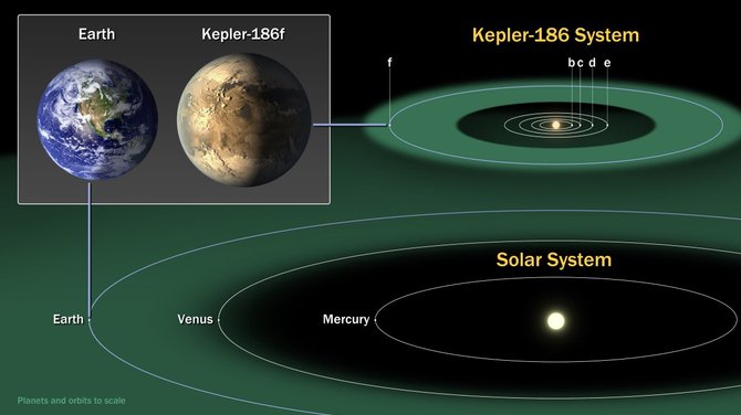 NASA iliustr./Kepler-186 sistema