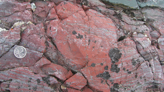 Matthew Doddo nuotr./Rastos seniausios fosilijos Žemėje