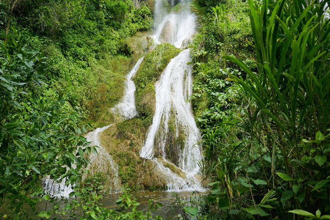„Shutterstock“ nuotr./Guanayara nacionalinis parkas