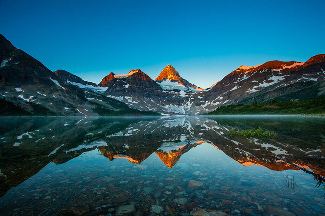 Shutterstock.com nuotr./Assiniboine