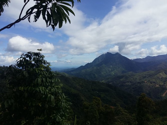 Godos Juocevičiūtės nuotr./Malaizijos Borneo