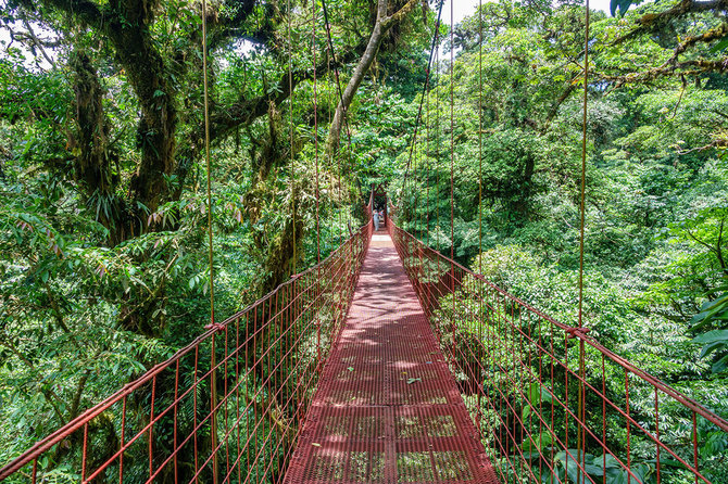 Shutterstock.com nuotr./Monteverde draustinis