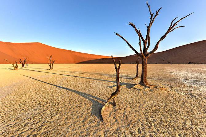 Shutterstock.com nuotr./Namibo dykuma