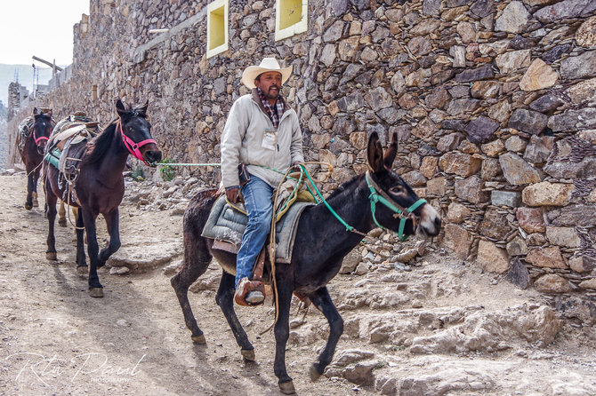 Paul Stewart nuotr./Gyvenimas Meksikoje