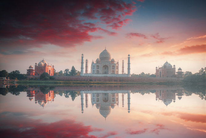 Shutterstock.com nuotr./Agra