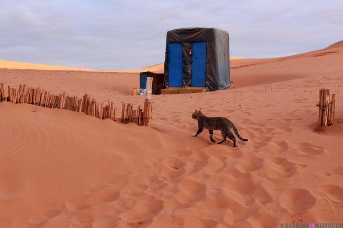Rasos Barčaitės, „Blondinė Maroke“ nuotr. /Kelionė per Sacharą