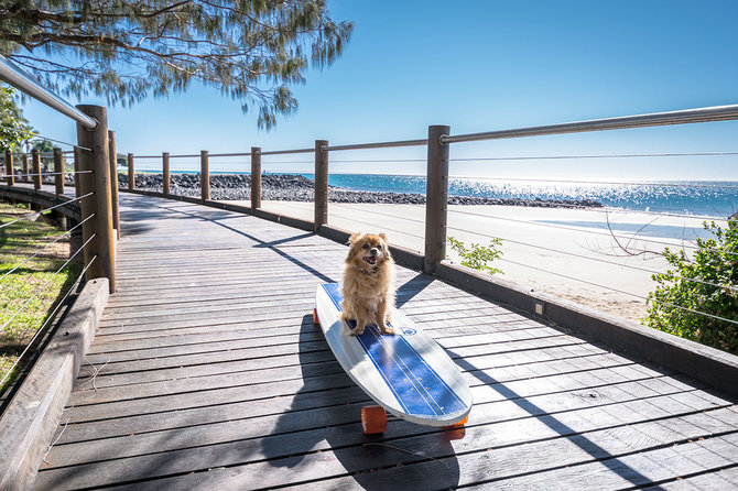 Shutterstock.com nuotr./Australija