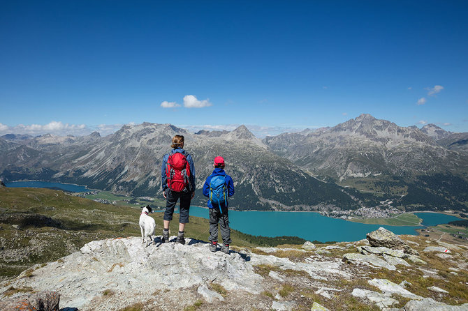 Shutterstock.com nuotr./Šveicarijos Alpės