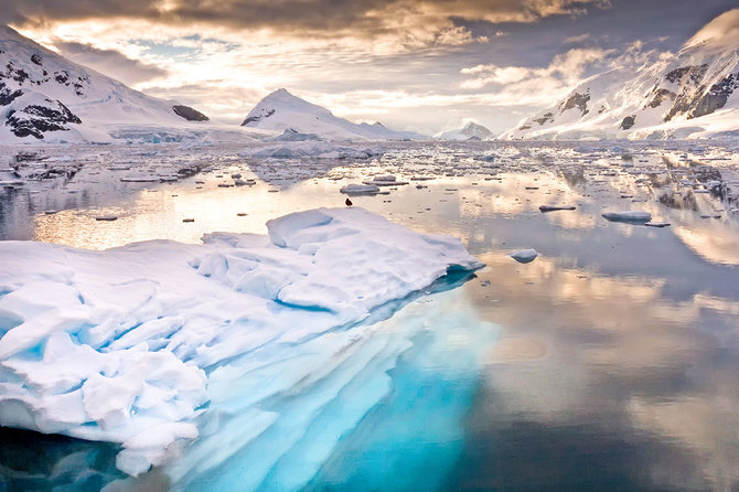 Shutterstock.com nuotr. / Antarktida