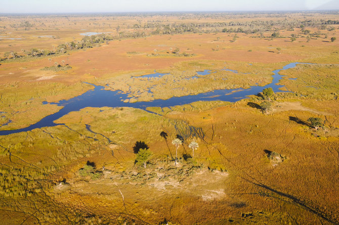 Travel Planet nuotr./Botsvana, Okavango delta