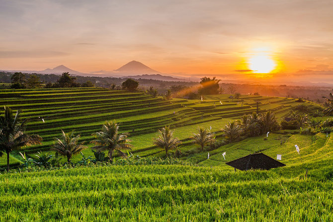 Shutterstock.com nuotr./4. Balis, Indonezija