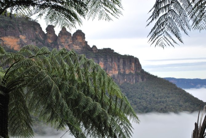 „Travel Planet“ nuotr./Australija, Mėlynieji kalnai
