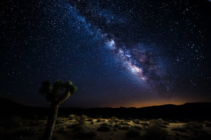 Shutterstock.com nuotr./6. Mirties slėnio nacionalinis parkas, Kalifornija, JAV