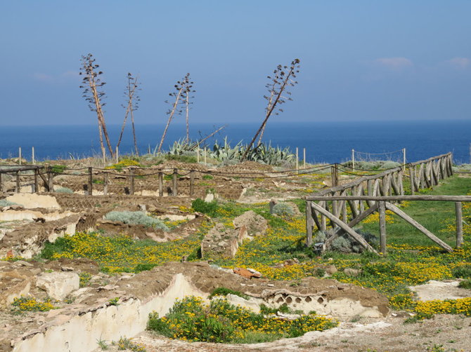 Saulės Paltanavičiūtės nuotr./Romėnų vilų likučiai – saugoma archeologinė zona