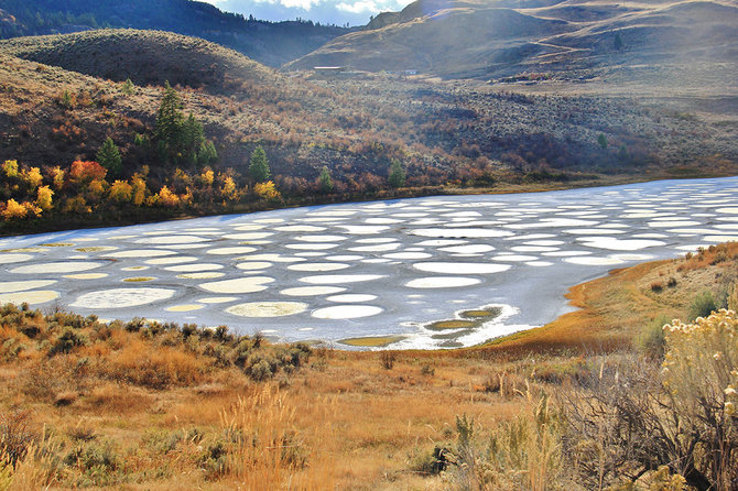 Shutterstock.com nuotr./8. Taškuotas ežeras, Kanada