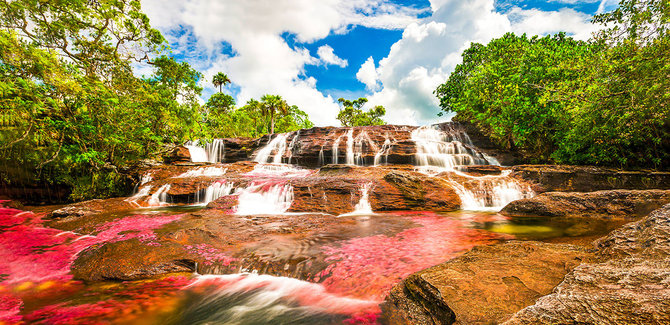 Shutterstock.com nuotr./9. Cano Cristales upė, Kolumbija