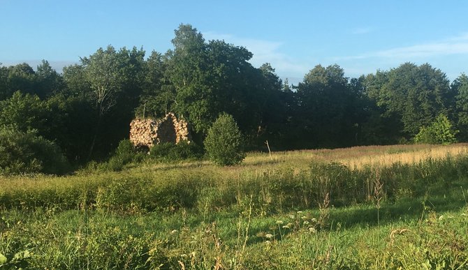 Tado Varapnicko nuotr./Griežės bažnyčios griuvėsiai