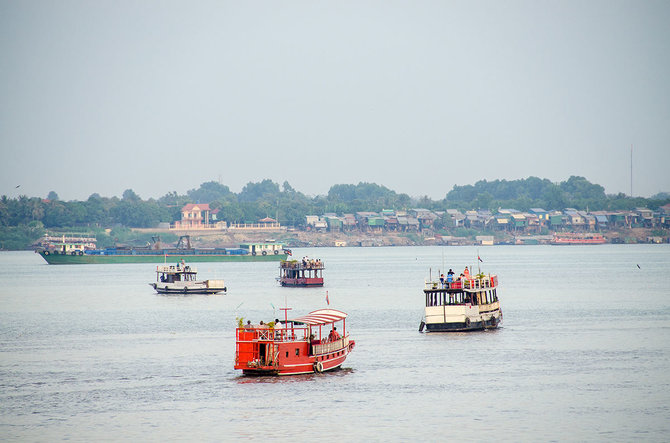 Shutterstock.com nuotr./Mekongo upė