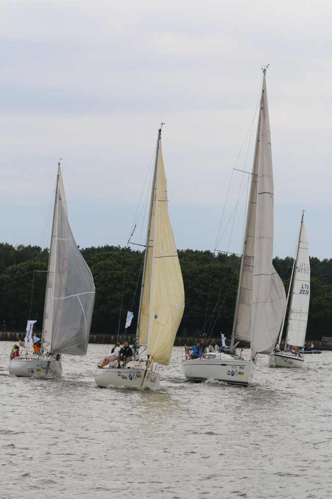 Kuršių marių regata