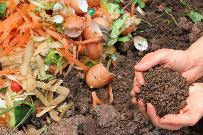 123RF.com nuotr./Kiaušinių lukštai pravers kompostui ir trąšoms