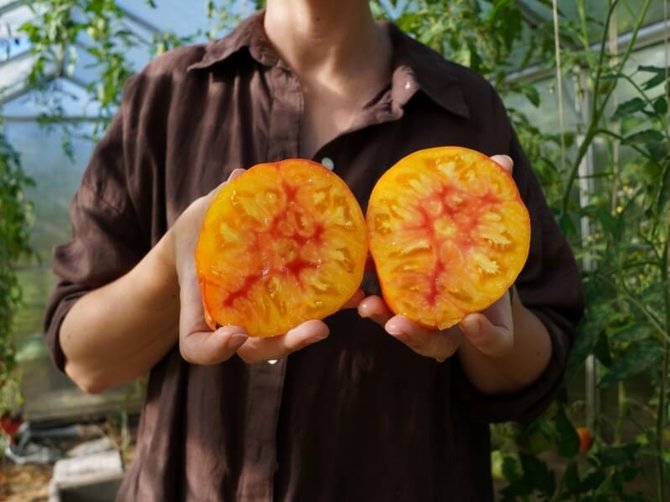 Linos Liubertaitės nuotr./‘Hawaiian Ananas’ veislės pomidorų vidus yra dailaus marmurinio rašto, todėl jie labai gražiai atrodo patiekti.